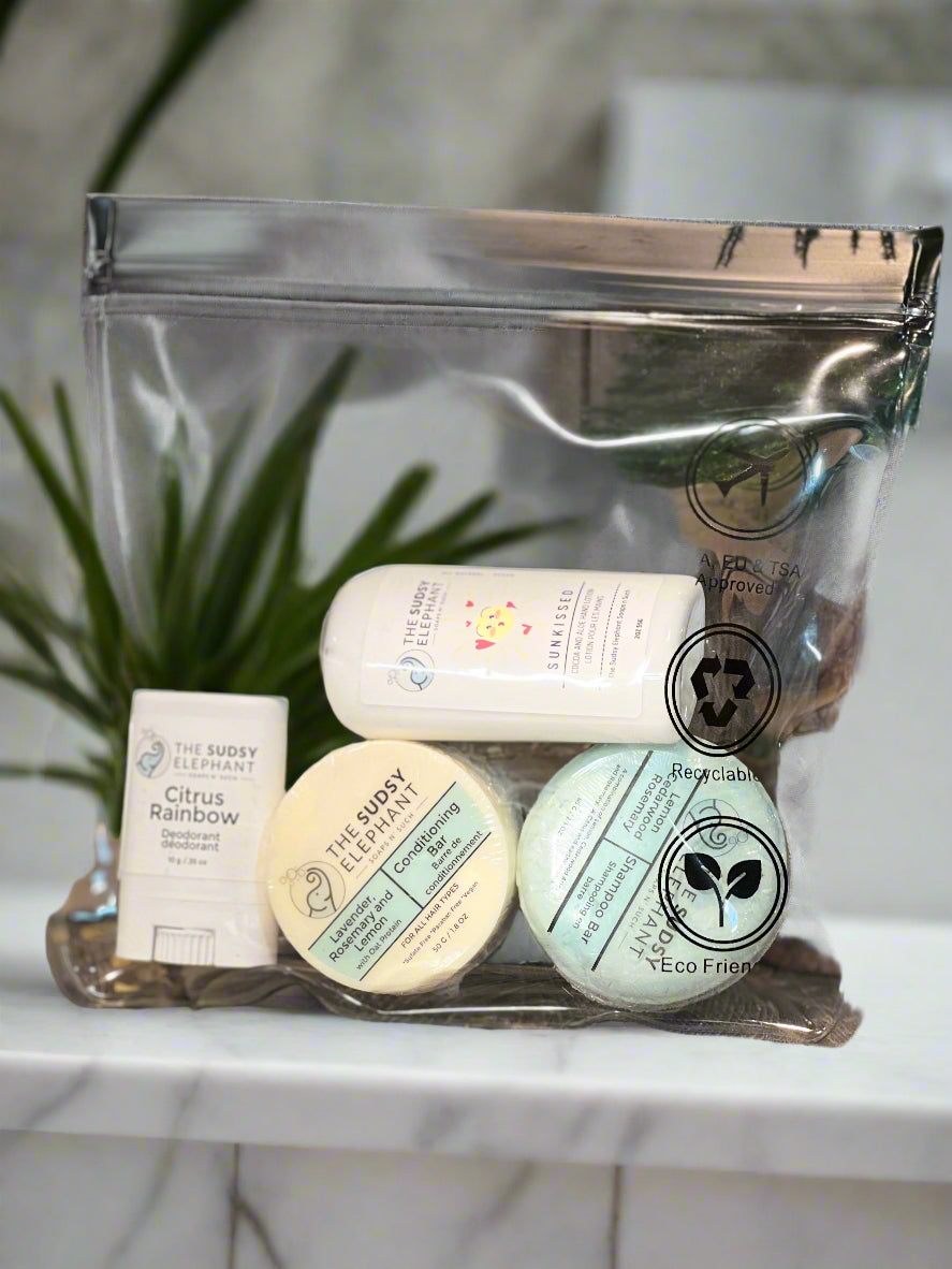 Transparent Travel Pouch