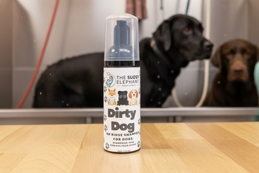 No Rinse DOG Shampoo