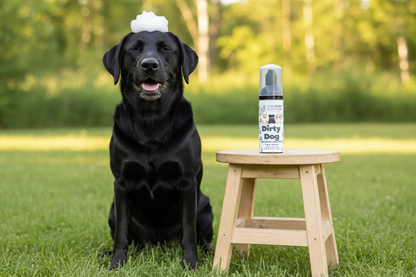 No Rinse DOG Shampoo