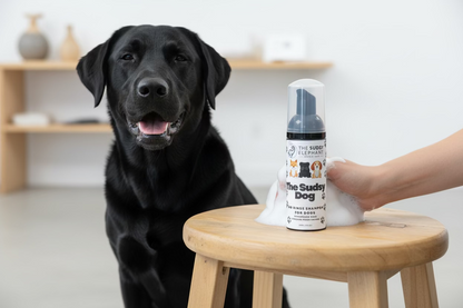 The Sudsy Dog - No Rinse DOG Shampoo